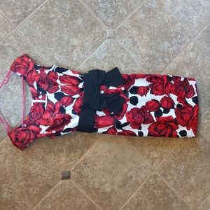 White House Black Market Red Rose Dress Size 0